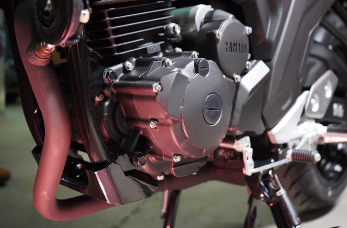 FZ25