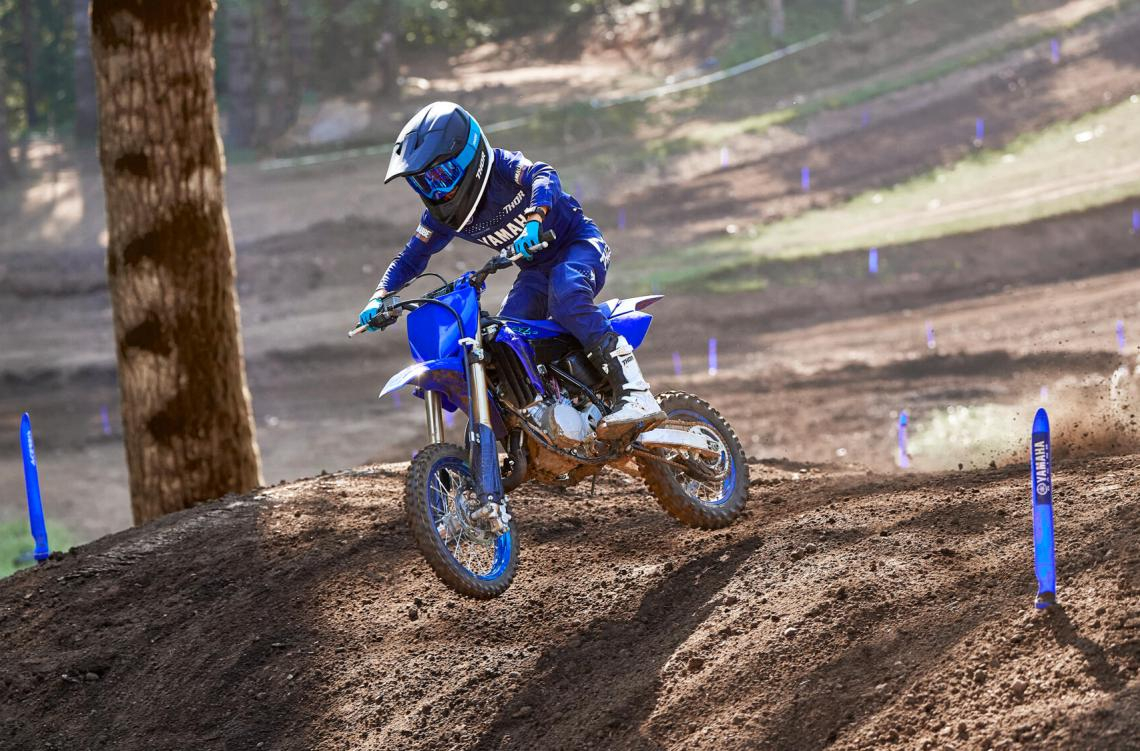 YZ65