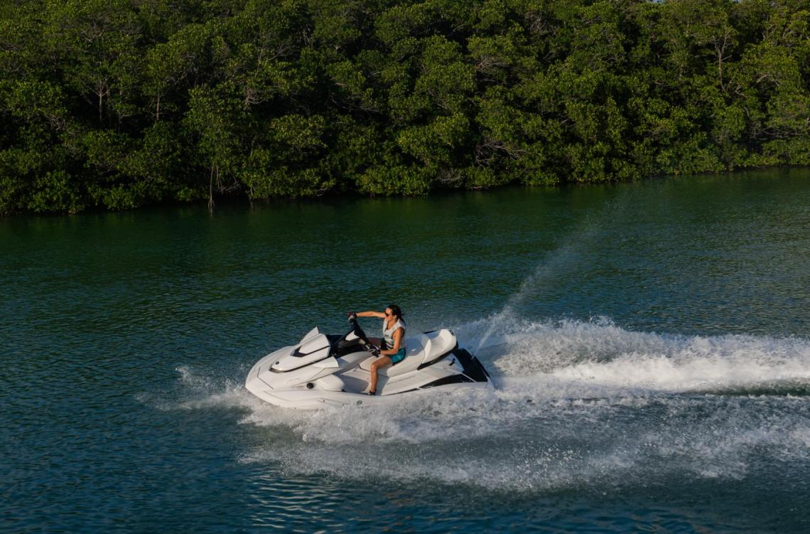 FX CRUISER SVHO