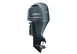 Yamaha F300 NSB (SBW)