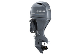 Yamaha F100 LB/XB