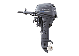 Yamaha F20 GES/L