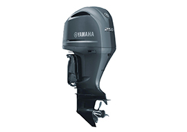 Yamaha F250 NSB (SBW)