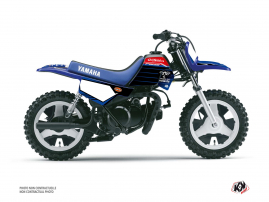 PW50 REPLICA TEAM OUTSIDERS K22